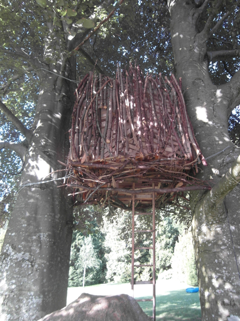 Bezirk Gersau